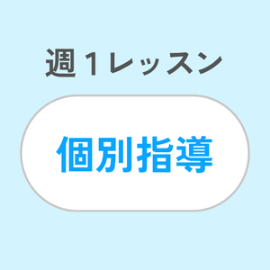 週1レッスン/個別指導