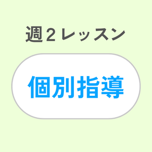 週2レッスン/個別指導