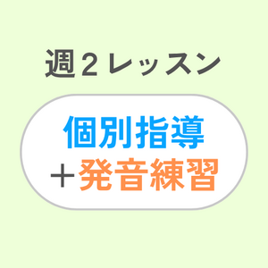 週2レッスン/個別指導+発音練習