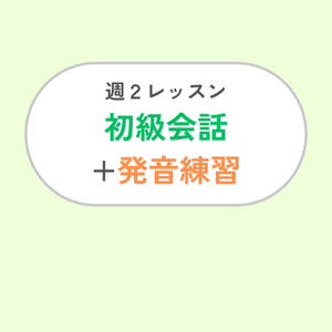 週2レッスン/会話練習+発音練習