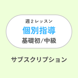 週2レッスン/個別指導サブスク